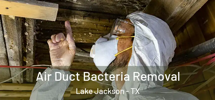 Air Duct Bacteria Removal Lake Jackson - TX