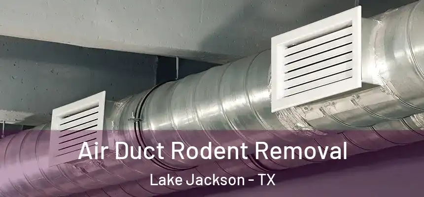  Air Duct Rodent Removal Lake Jackson - TX