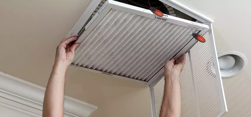 Preventive Cockroach-Proofing for Ducts in Lake Jackson
