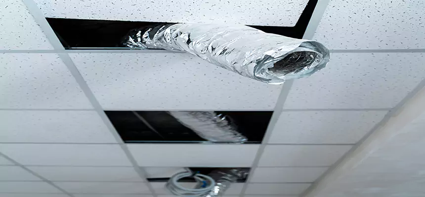 Affordable HVAC Sanitizing After Pest Removal in Lake Jackson