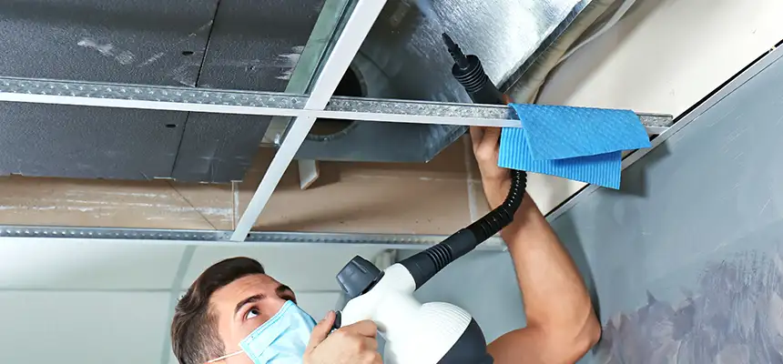 Our Air Duct Rodent Removal Services in Lake Jackson, TX