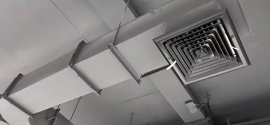 Restorative Allergy Relief Vent Cleaning – Coil, Blower & Housing Detail in Lake Jackson