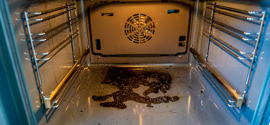 Our Dryer Vent Mold Cleaning Services in Lake Jackson, TX