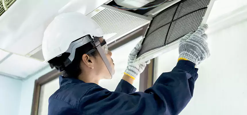 Our Mold & Mildew Removal from Air Ducts Services in Lake Jackson, TX