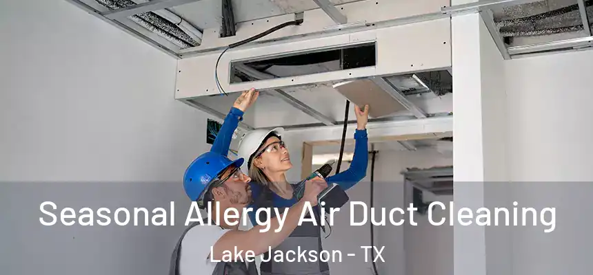 Seasonal Allergy Air Duct Cleaning Lake Jackson - TX