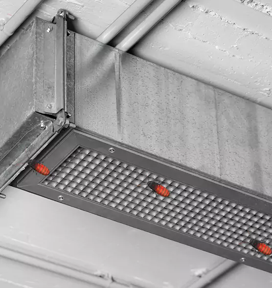 About Air Duct Cockroach Removal in Lake Jackson, TX