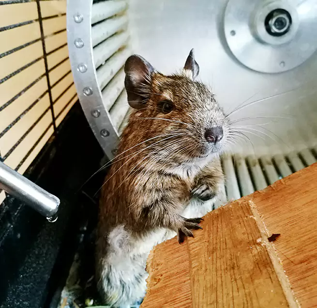 Why Homeowners & Businesses Trust Us Lake Jackson, TX