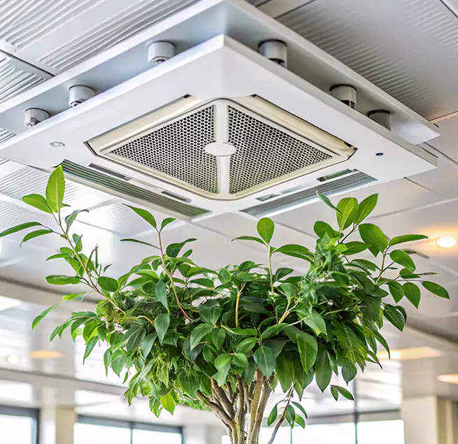 Why Homeowners & Businesses Trust Us in Lake Jackson, TX