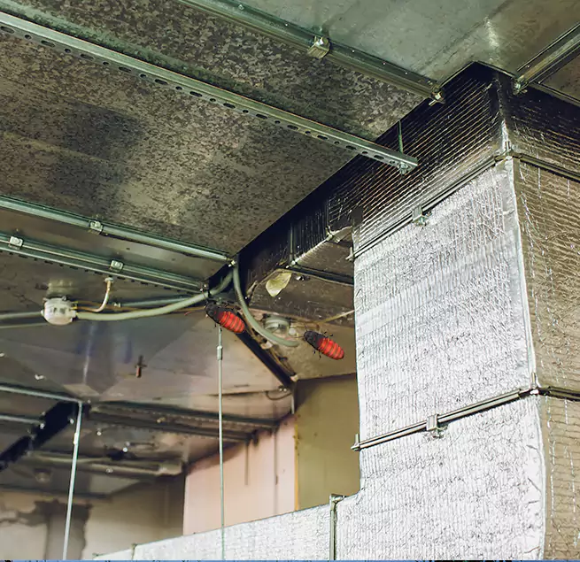 Why Homeowners & Businesses Trust Us Lake Jackson, TX?